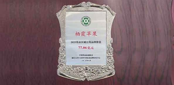 77.06億元！“棲霞蘋果”品牌價值穩居全國榜首！